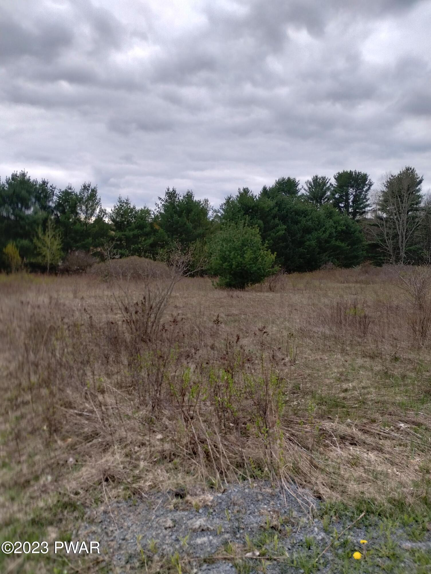 Lot 4 Ledgedale Rd Lake Lake Ariel, PA 18436 - Photo 6 of 9
