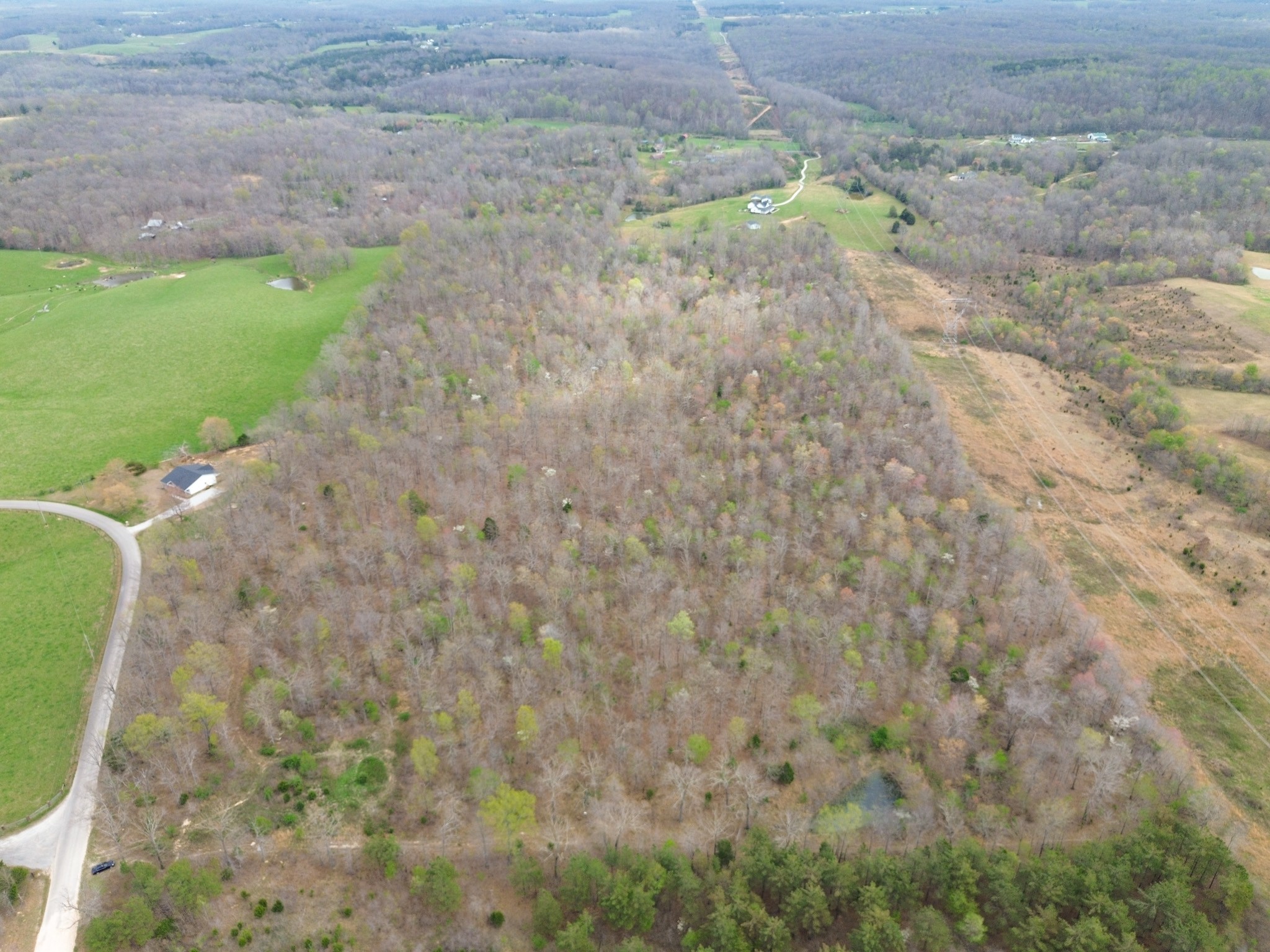 0 Mcelhiney Road Dickson, TN 37055 - Photo 12 of 56 Gallery Image 12