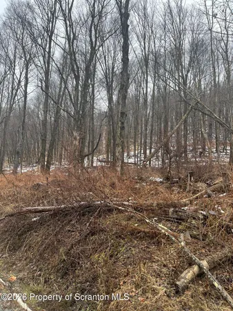 a view of outdoor space with trees