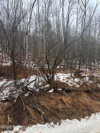 a view of covered with snow