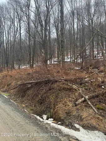 a view of dirt yard with trees