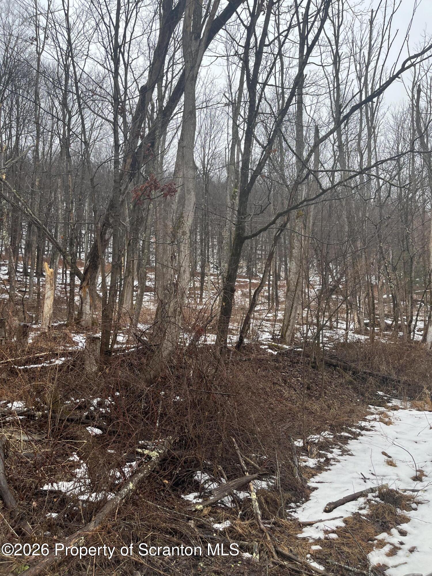 922 Hawk Road Hallstead, PA 18822 - Photo 7 of 9 a view of forest