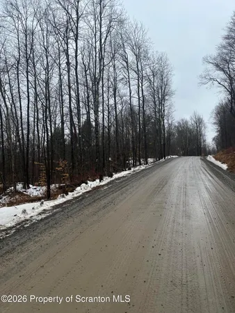 a view of a street with trees in the background