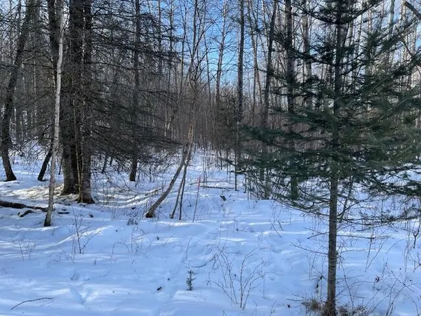$58,000 | Lt44 Big Cub Trail, Laona, WI 54541