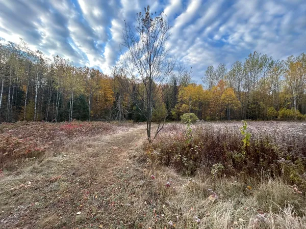 $58,000 | Lt44 Big Cub Trail, Laona, WI 54541