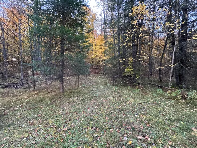 $58,000 | Lt44 Big Cub Trail, Laona, WI 54541