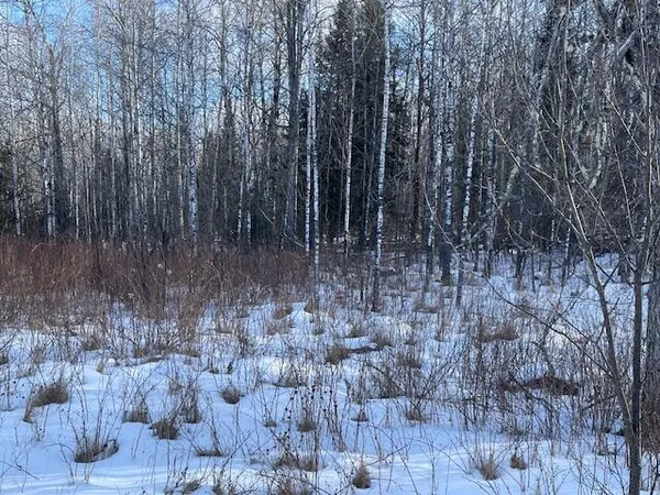 $58,000 | Lt44 Big Cub Trail, Laona, WI 54541