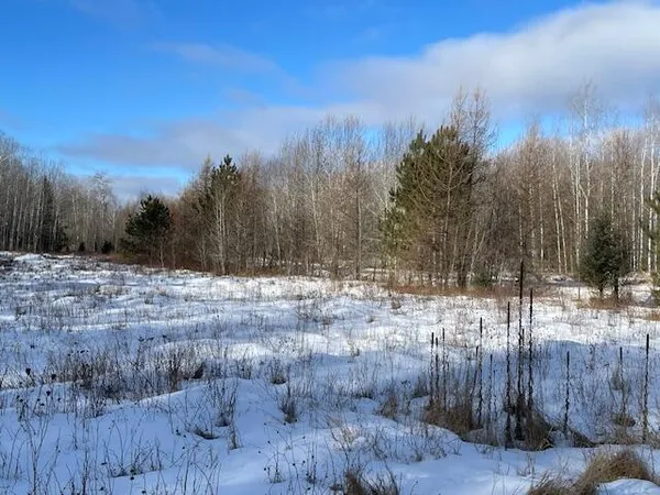 $58,000 | Lt44 Big Cub Trail, Laona, WI 54541