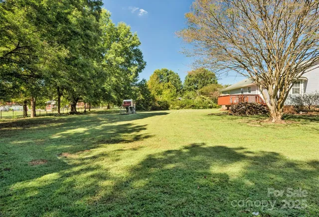 a view of a trees with a big yard