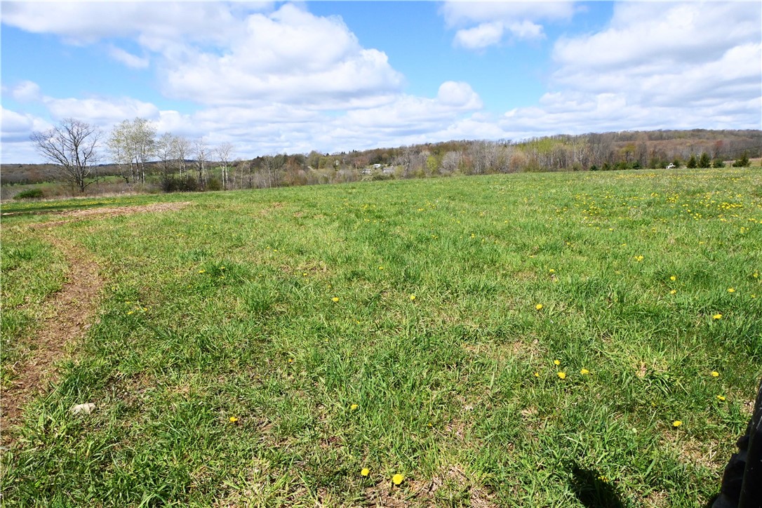 186 Pine Valley Road Catlin, NY 14872 - Photo 8 of 45 West Side of Property