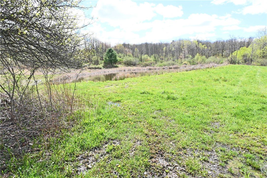 186 Pine Valley Road Catlin, NY 14872 - Photo 9 of 45