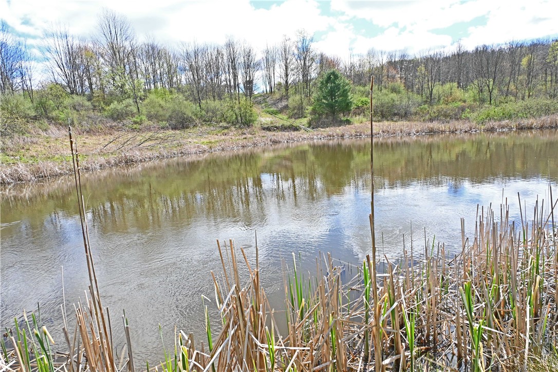 186 Pine Valley Road Catlin, NY 14872 - Photo 10 of 45 Pond on West Side of Property