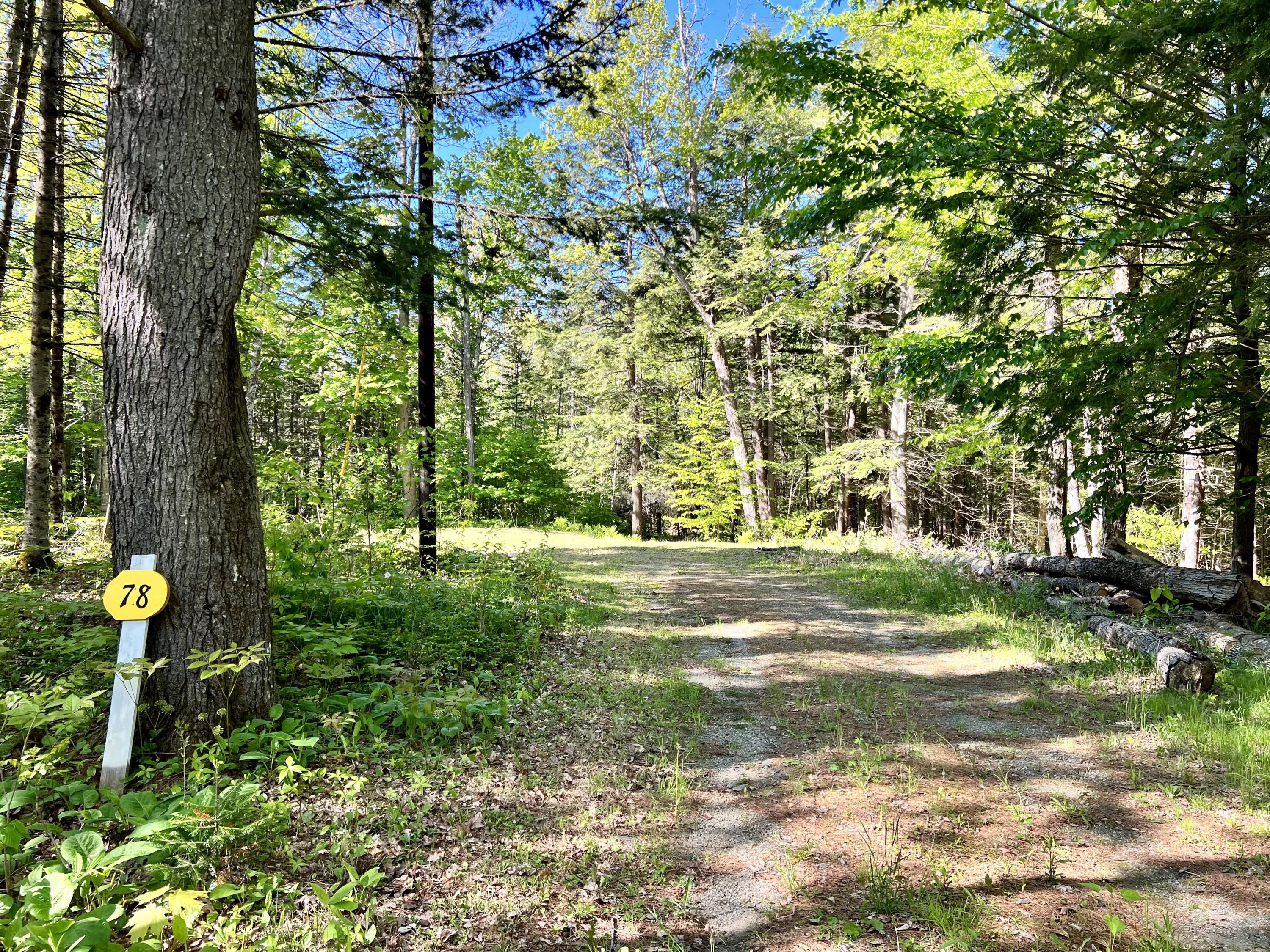 78 Morgan Pitch Road Brooks, ME 04921 - Photo 1 of 8 IMG-4025
