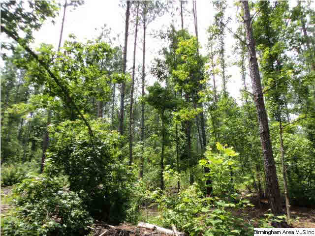 12 County Road, Unit 55 Heflin, AL 36264 - Photo 7 of 10