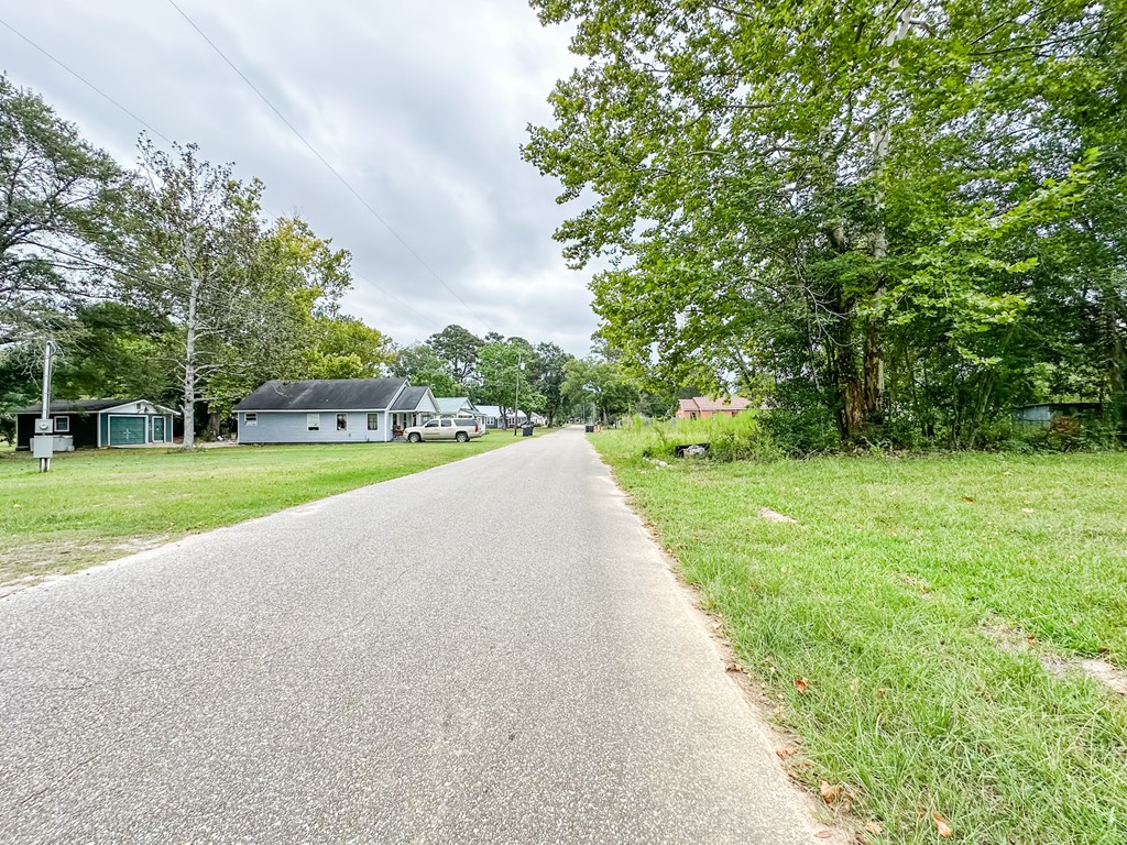 0 Hart Street Geneva, AL 36340 - Photo 3 of 5
