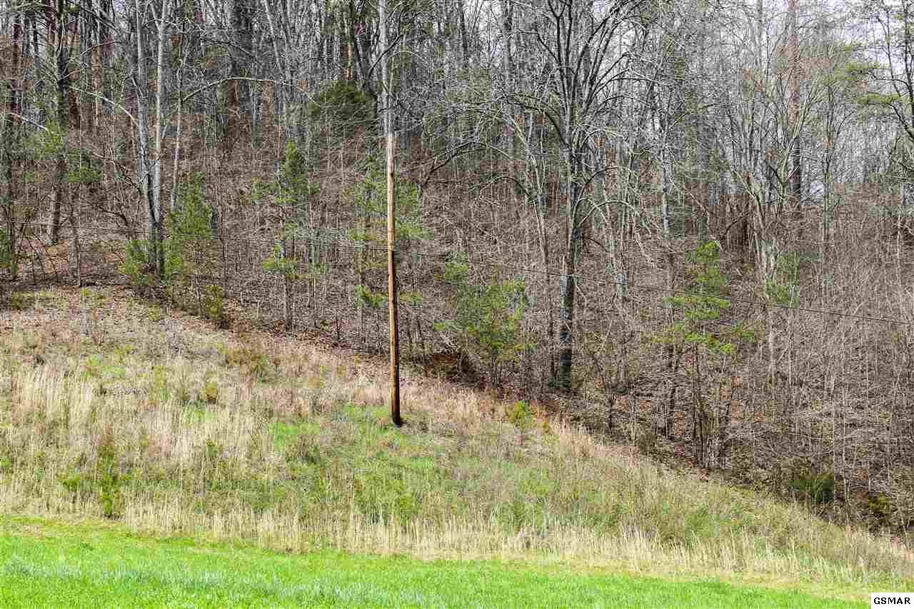1940 Long Branch Road Seymour, TN 37865 - Photo 19 of 35 Gallery Image 19