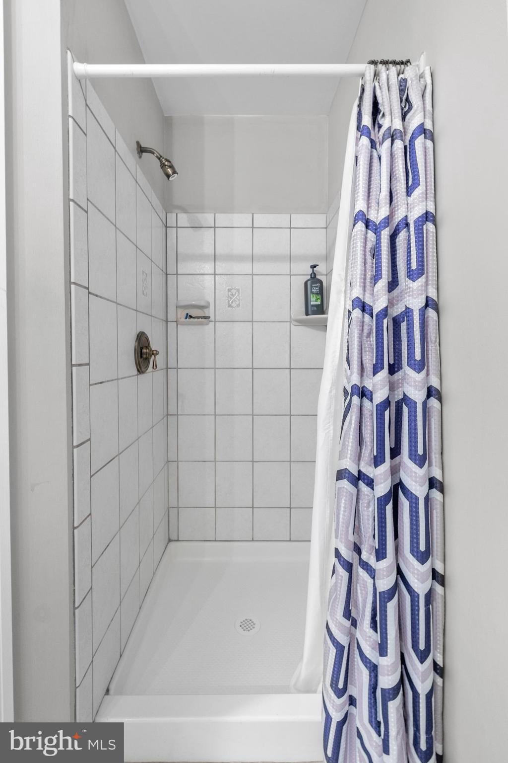 6491 Milva Lane Springfield, VA 22150 - Photo 44 of 59 Lower level full bath. Tiled step-in shower