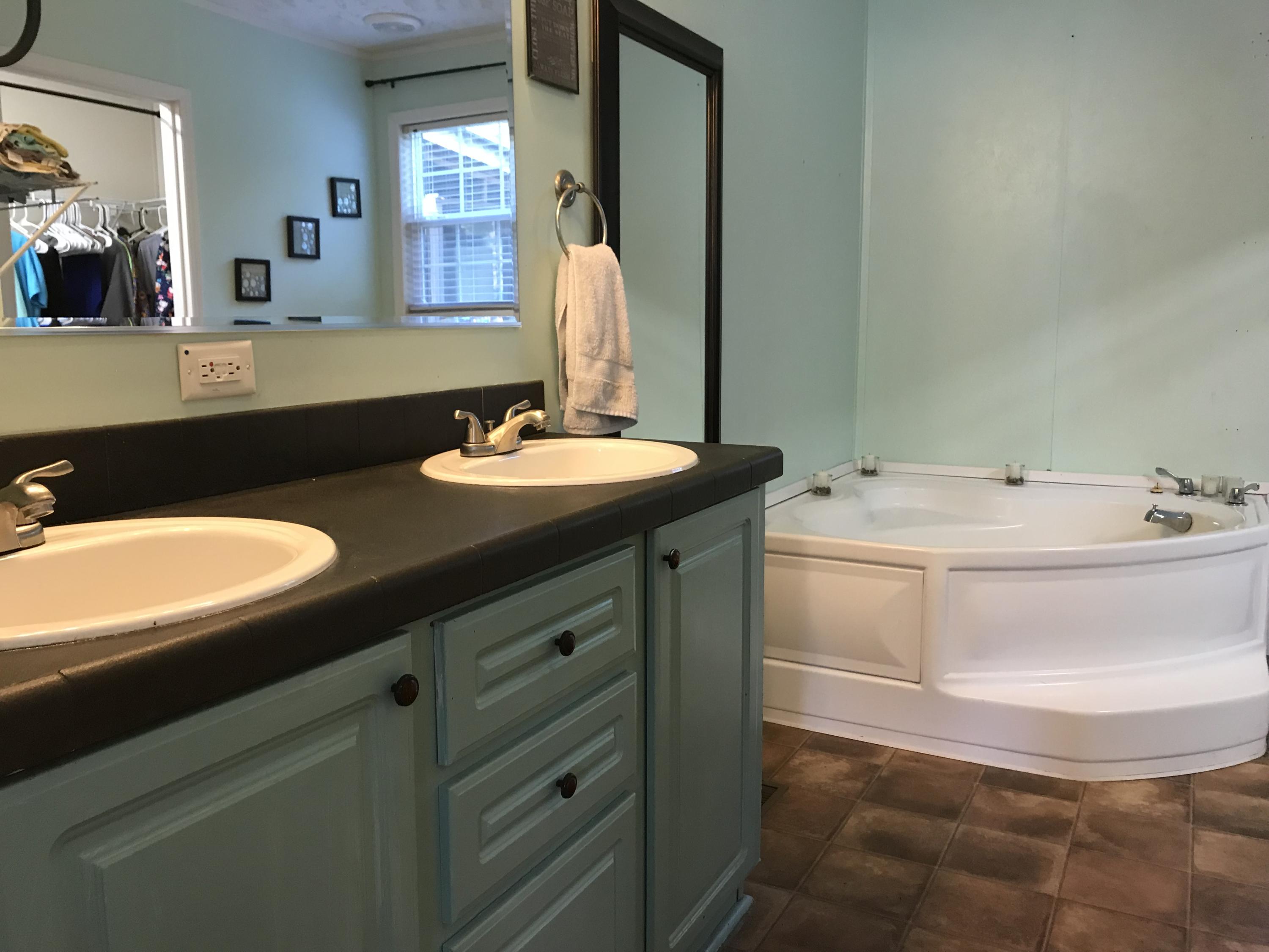 291 Ray Gadd Road Graysville, TN 37338 - Photo 17 of 33 Master Bath