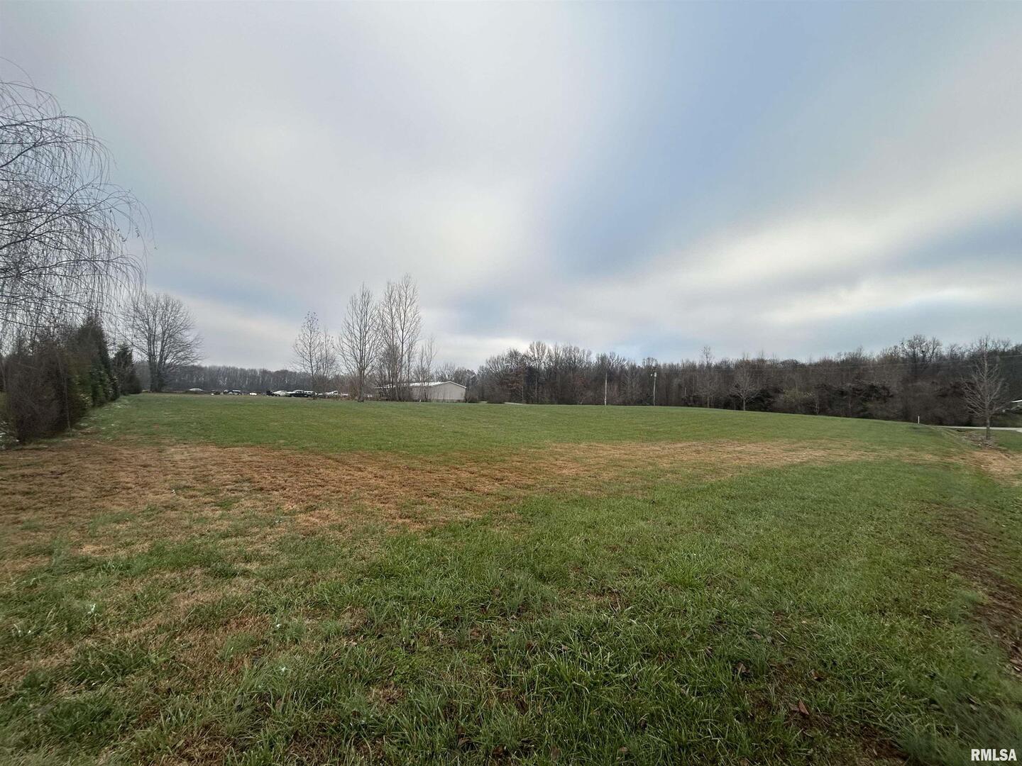 Lot 13 Krystal Lane Metropolis, IL 62960 - Photo 4 of 4