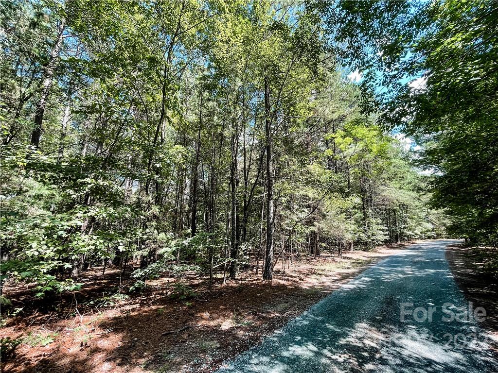9548 Brief Road Mint Hill, NC 28227 - Photo 7 of 16 Gallery Image 7