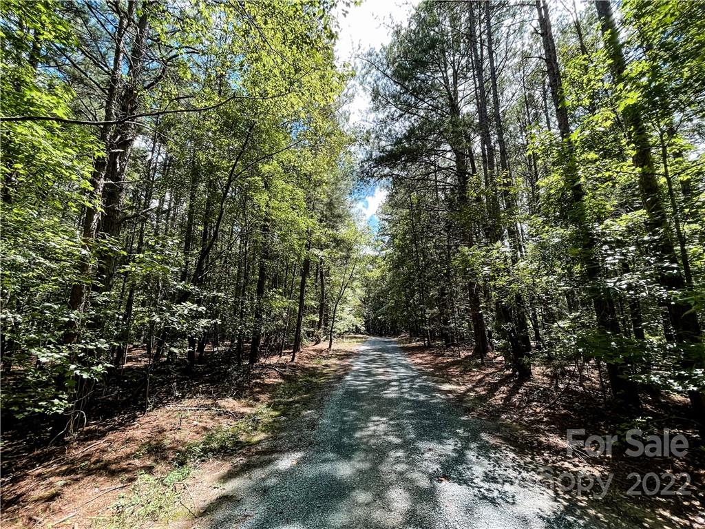 9548 Brief Road Mint Hill, NC 28227 - Photo 9 of 16 Gallery Image 9