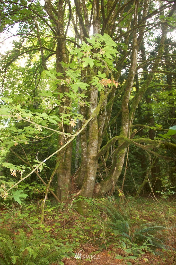 9062 Giles Road Blaine, WA 98230 - Photo 14 of 16 Gallery Image 14