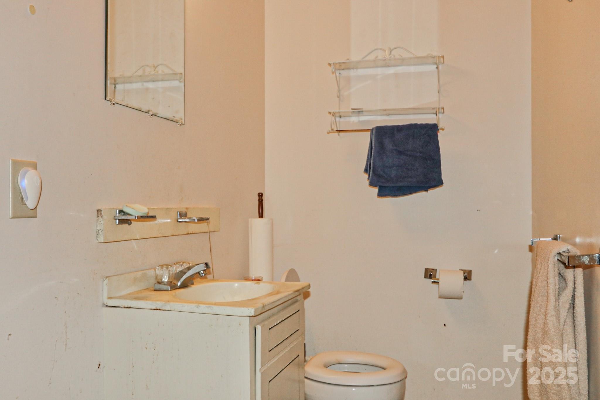 5313 Friendship Circle Road East Bend, NC 27018 - Photo 25 of 48 a bathroom with a sink a toilet and a mirror