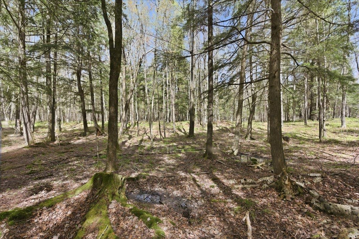 W585 Strucker Road Ogema, WI 54459 - Photo 23 of 55