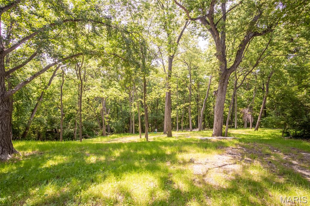 12204 Robyn Road St. Louis, MO 63127 - Photo 39 of 48 Gallery Image 39
