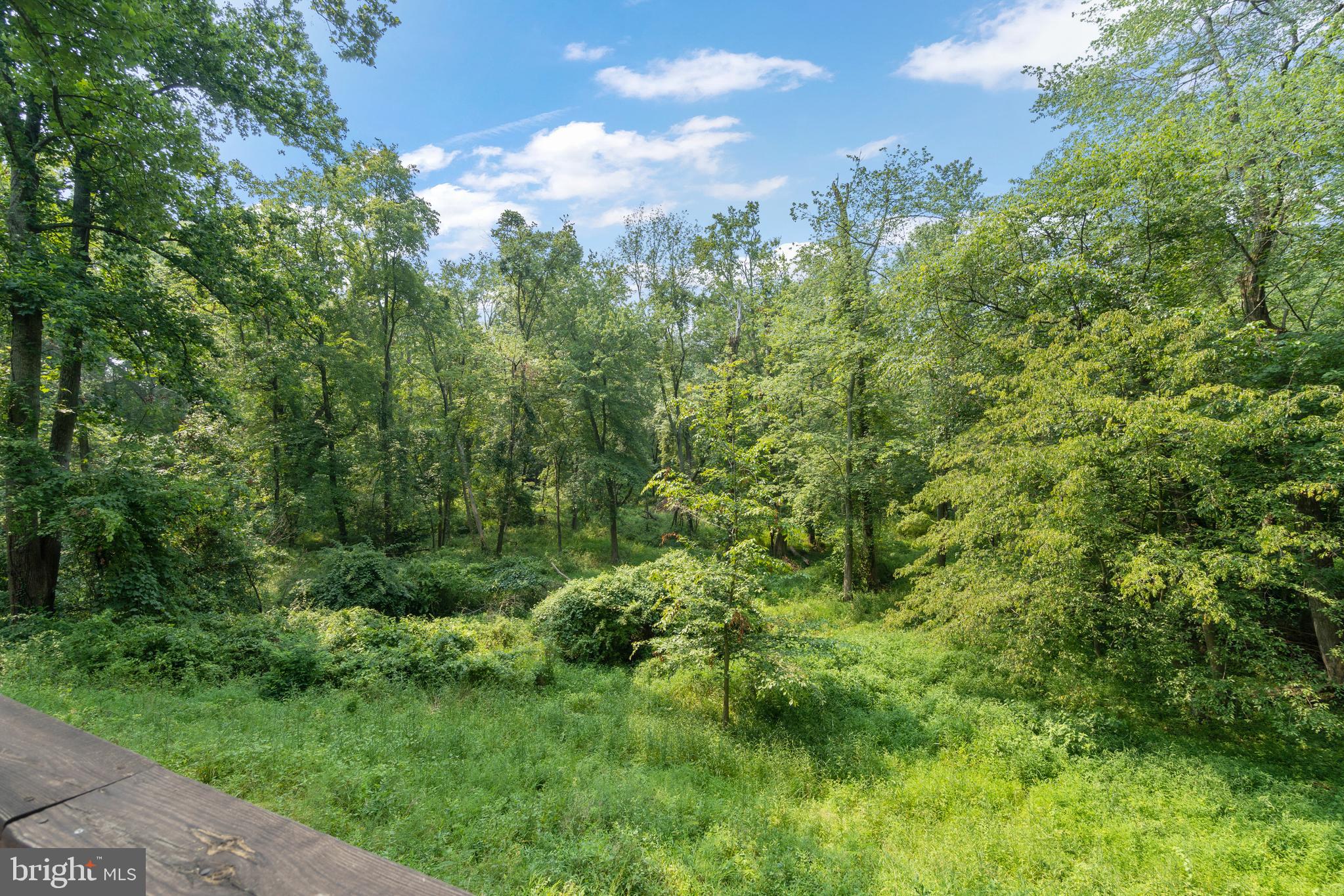 3332 Ellis Court Falls Church, VA 22042 - Photo 35 of 37 Property backs up to Holmes Run!