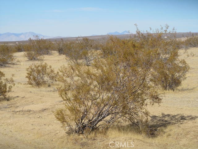 5007 Brown Boulevard Edwards, CA 93523 - Photo 6 of 10 a view of lake