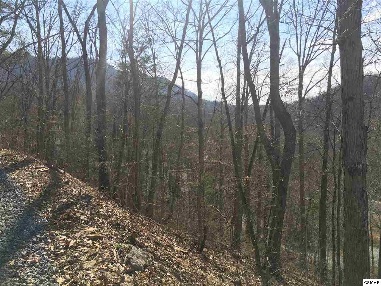867 Haney Road Sevierville, TN 37876 - Photo 33 of 34 Gallery Image 33