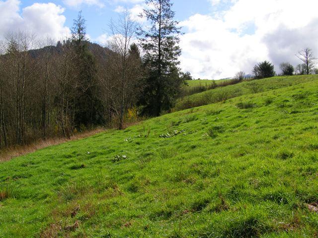 41 Skyview Road Tillamook, OR 97141 - Photo 16 of 33 P3180277