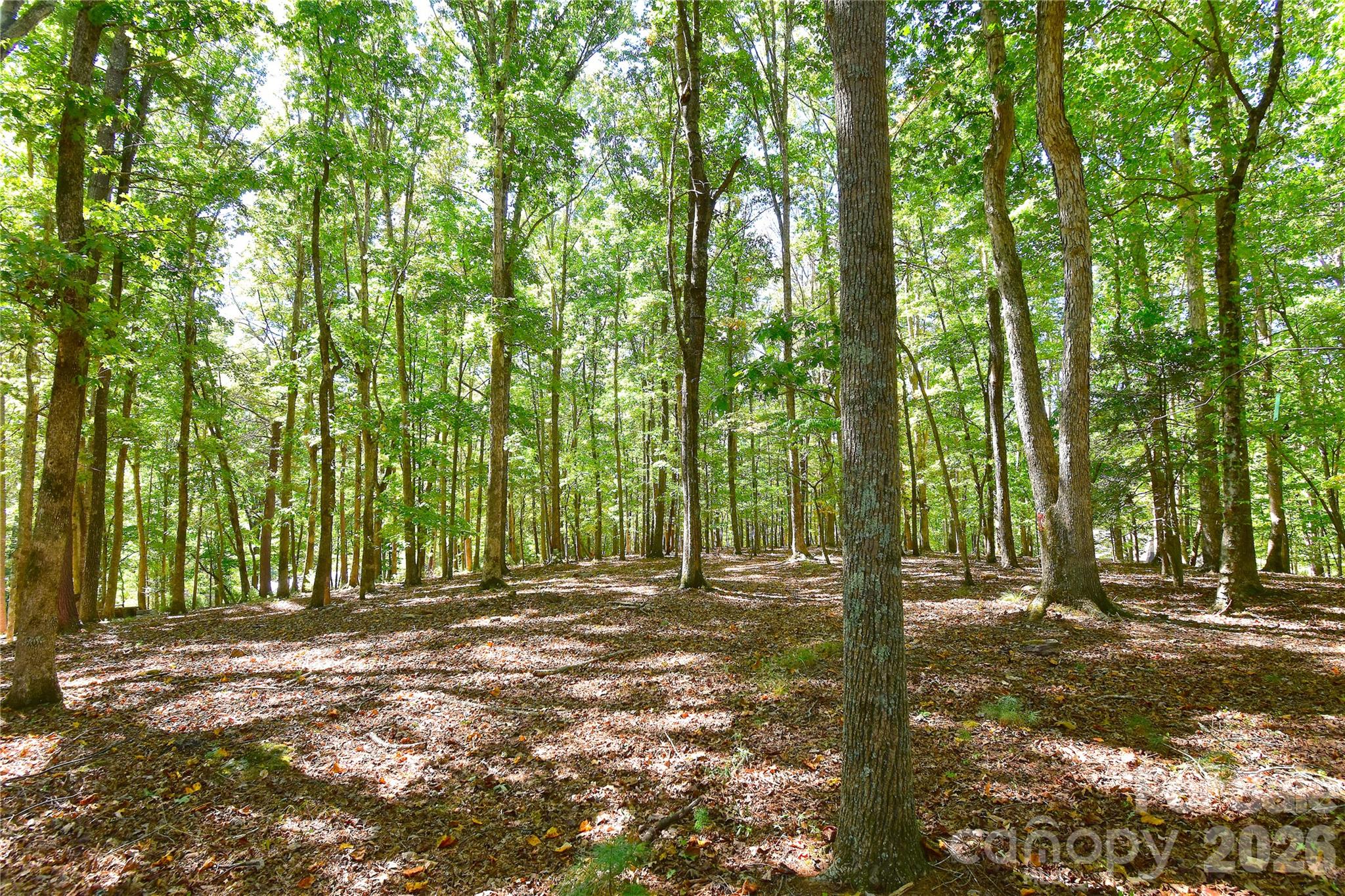 39 Maynard Road Candler, NC 28715 - Photo 38 of 43 Gallery Image 38