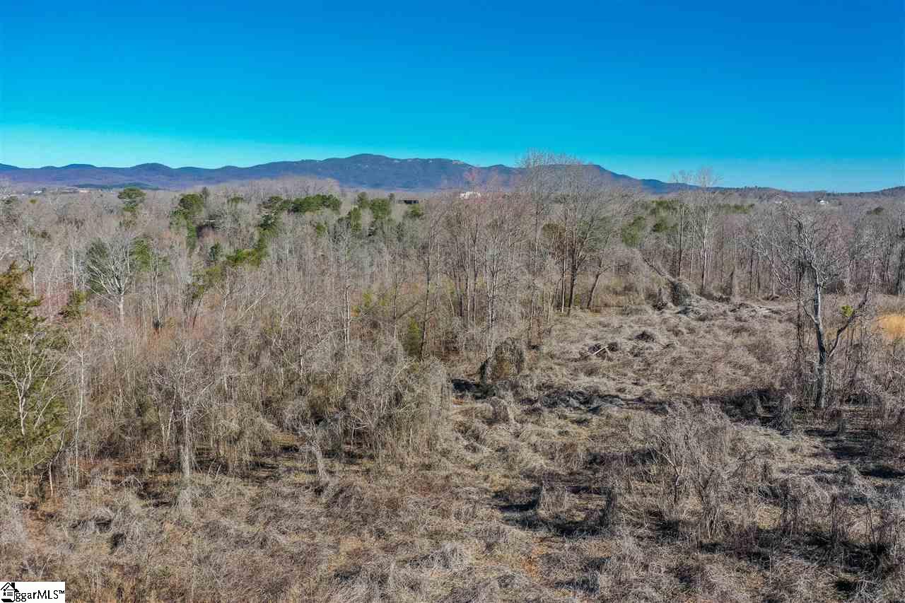 0 Mountain View Road Taylors, SC 29687 - Photo 14 of 23