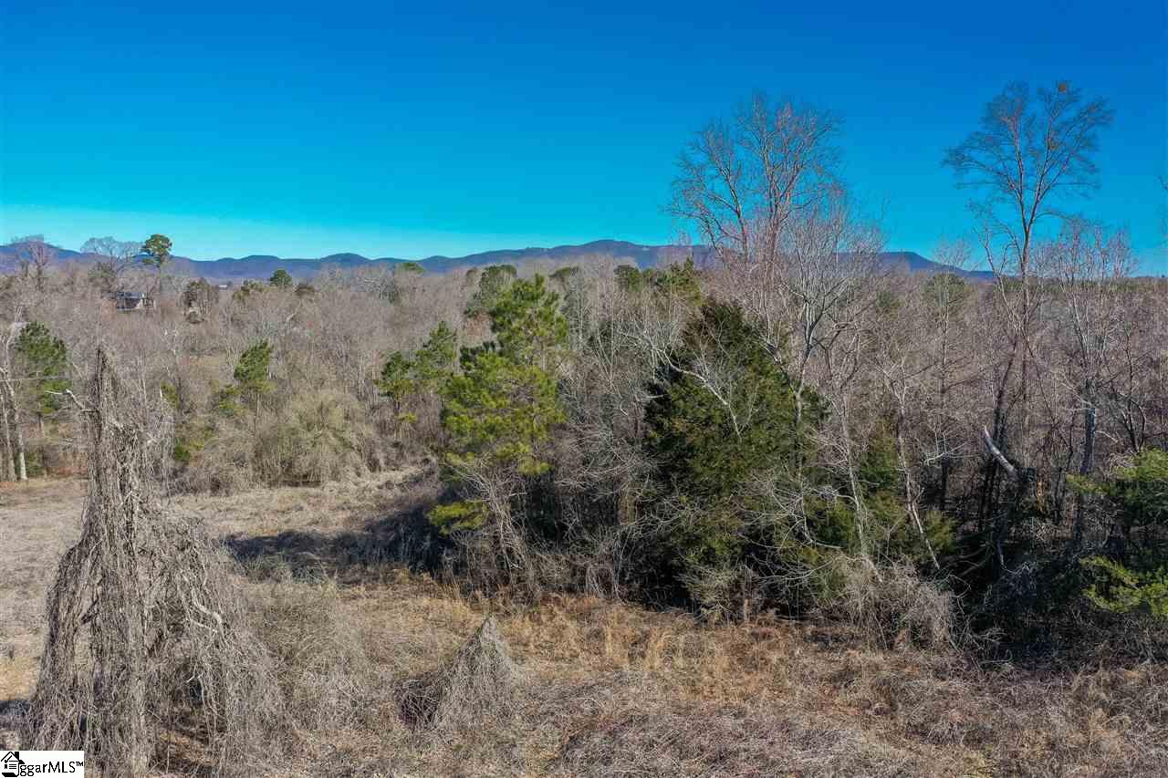 0 Mountain View Road Taylors, SC 29687 - Photo 18 of 23
