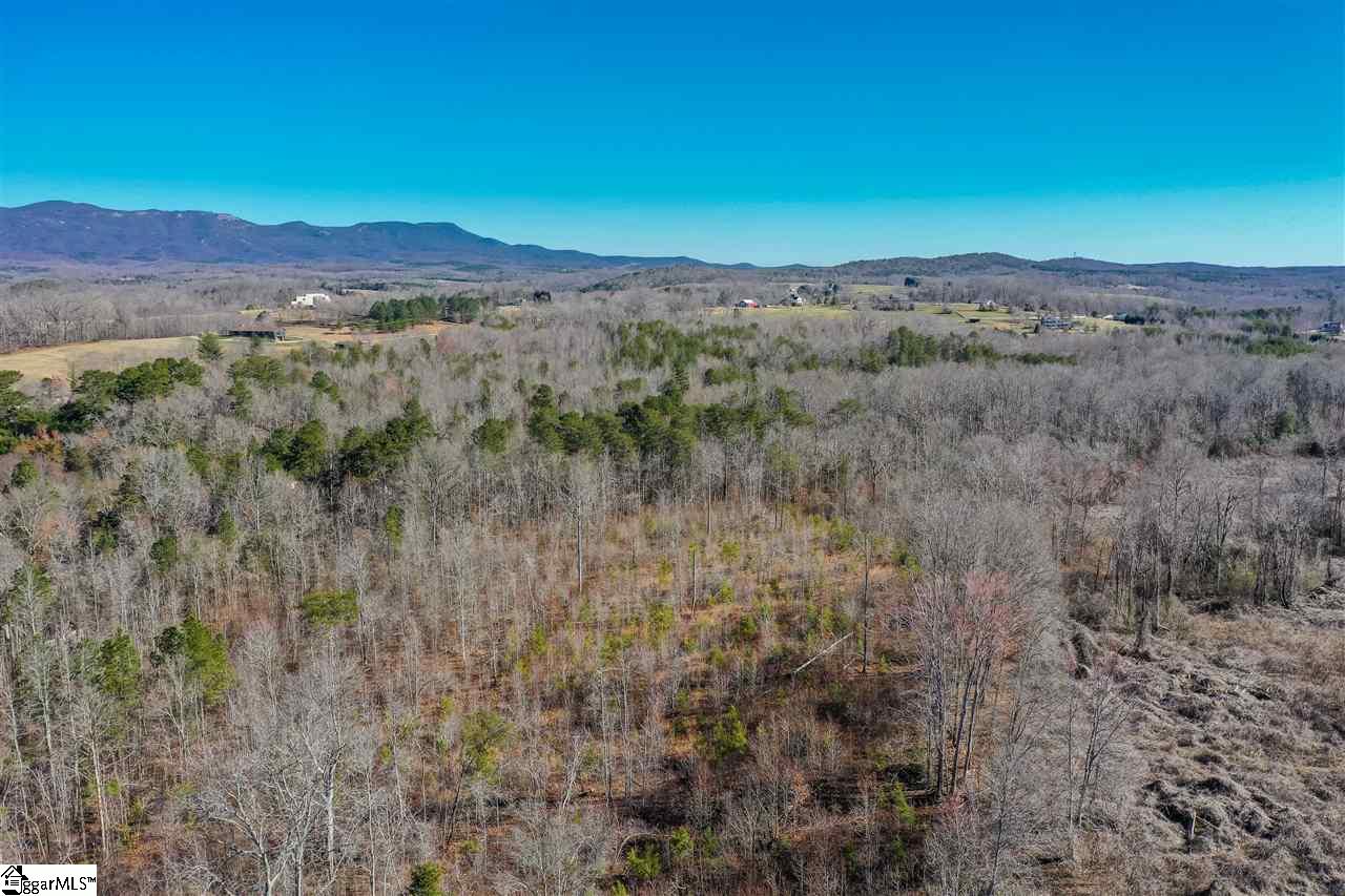 0 Mountain View Road Taylors, SC 29687 - Photo 20 of 23