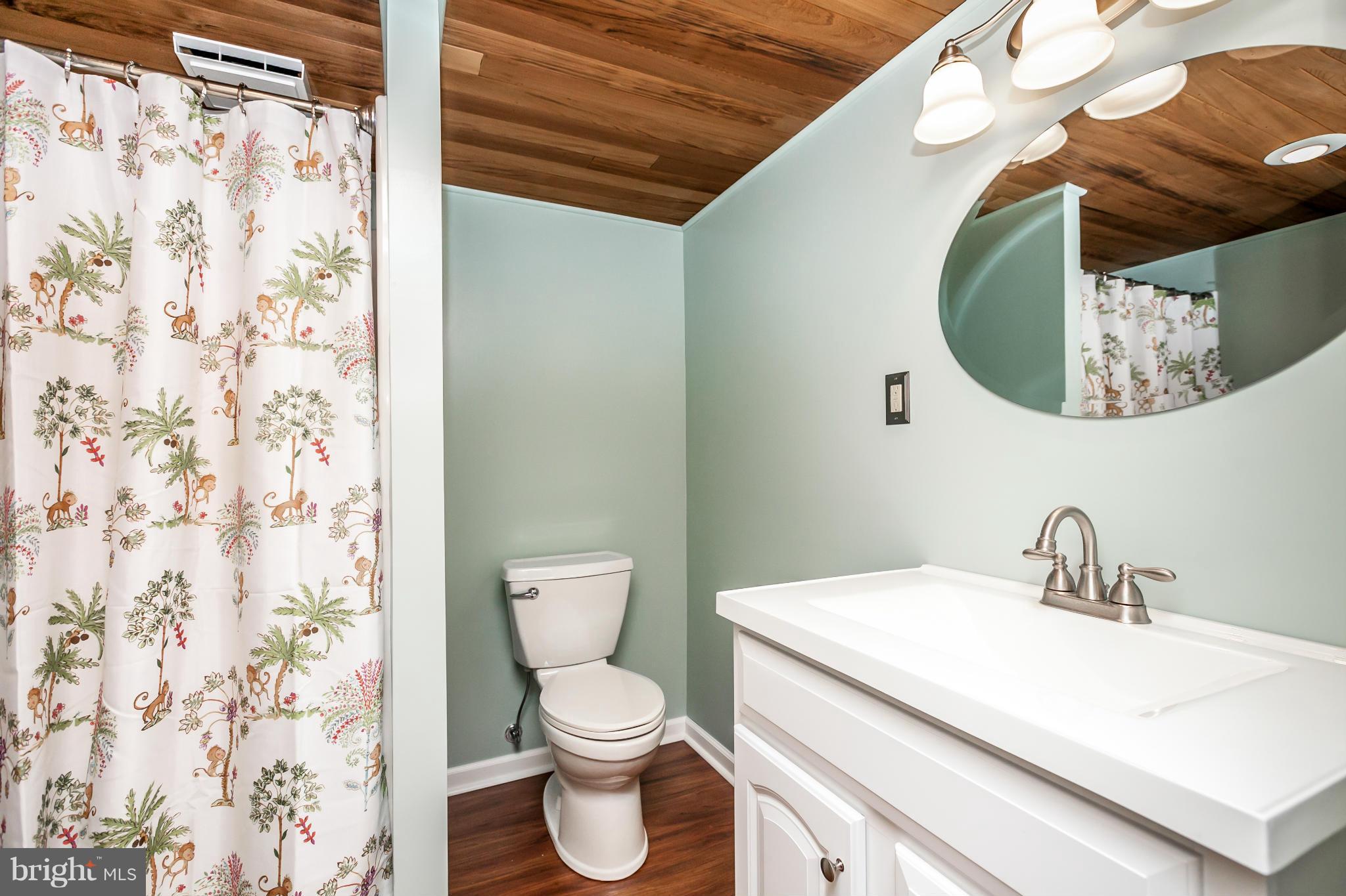 8809 Spring Road Baltimore, MD 21234 - Photo 19 of 25 Lower Level Bathroom