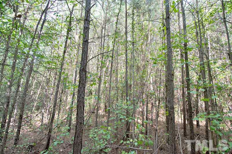 5950 Glendon Carthage Road Carthage, NC 28327 - Photo 3 of 7