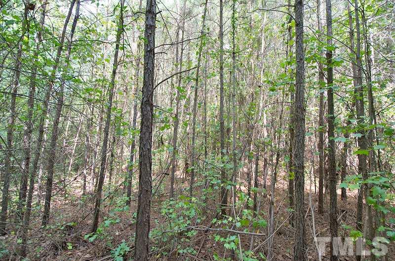 5950 Glendon Carthage Road Carthage, NC 28327 - Photo 4 of 7
