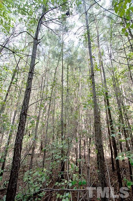 5950 Glendon Carthage Road Carthage, NC 28327 - Photo 6 of 7