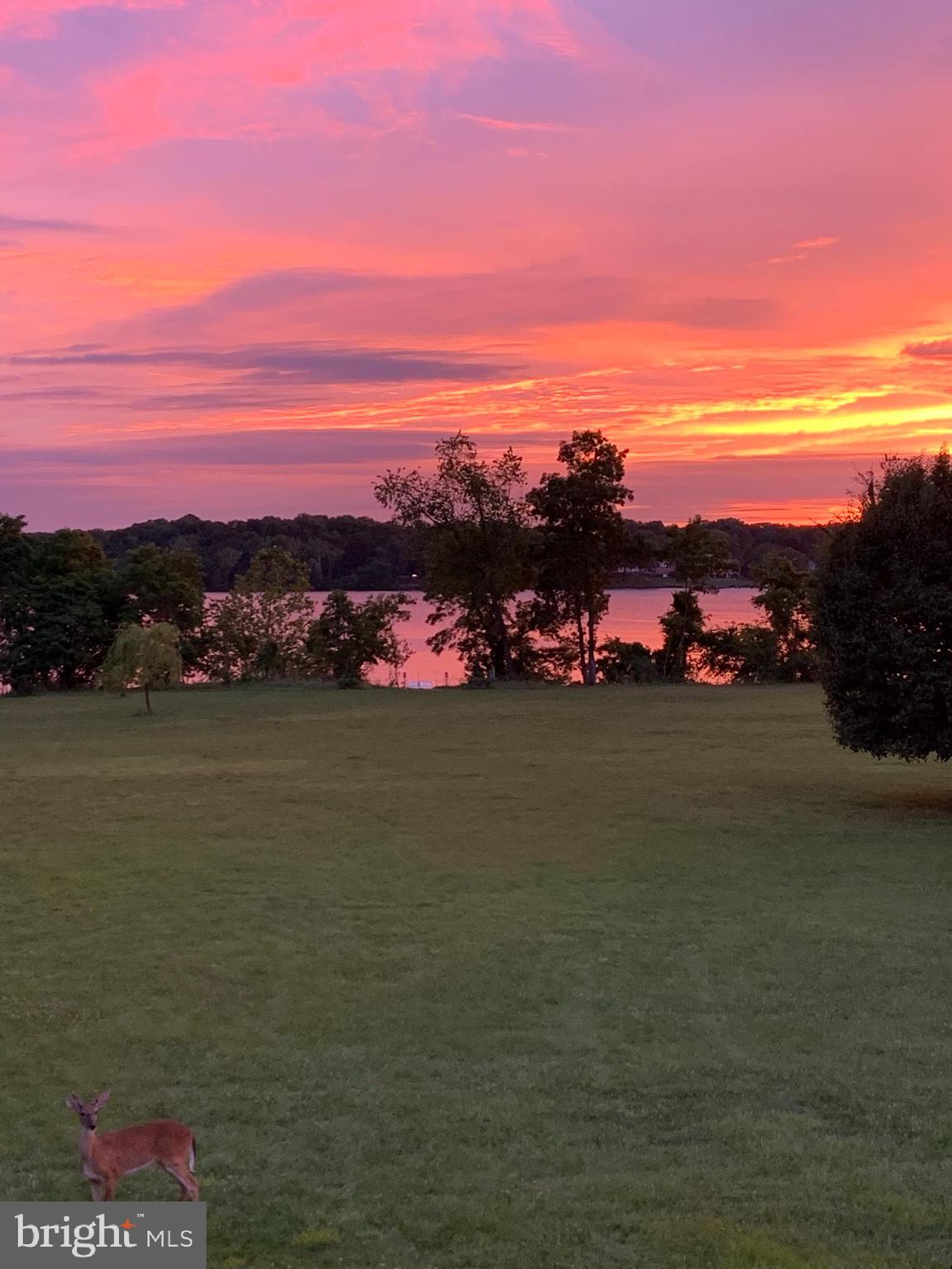 12103 Riverview Road Fort Washington, MD 20744 - Photo 79 of 88