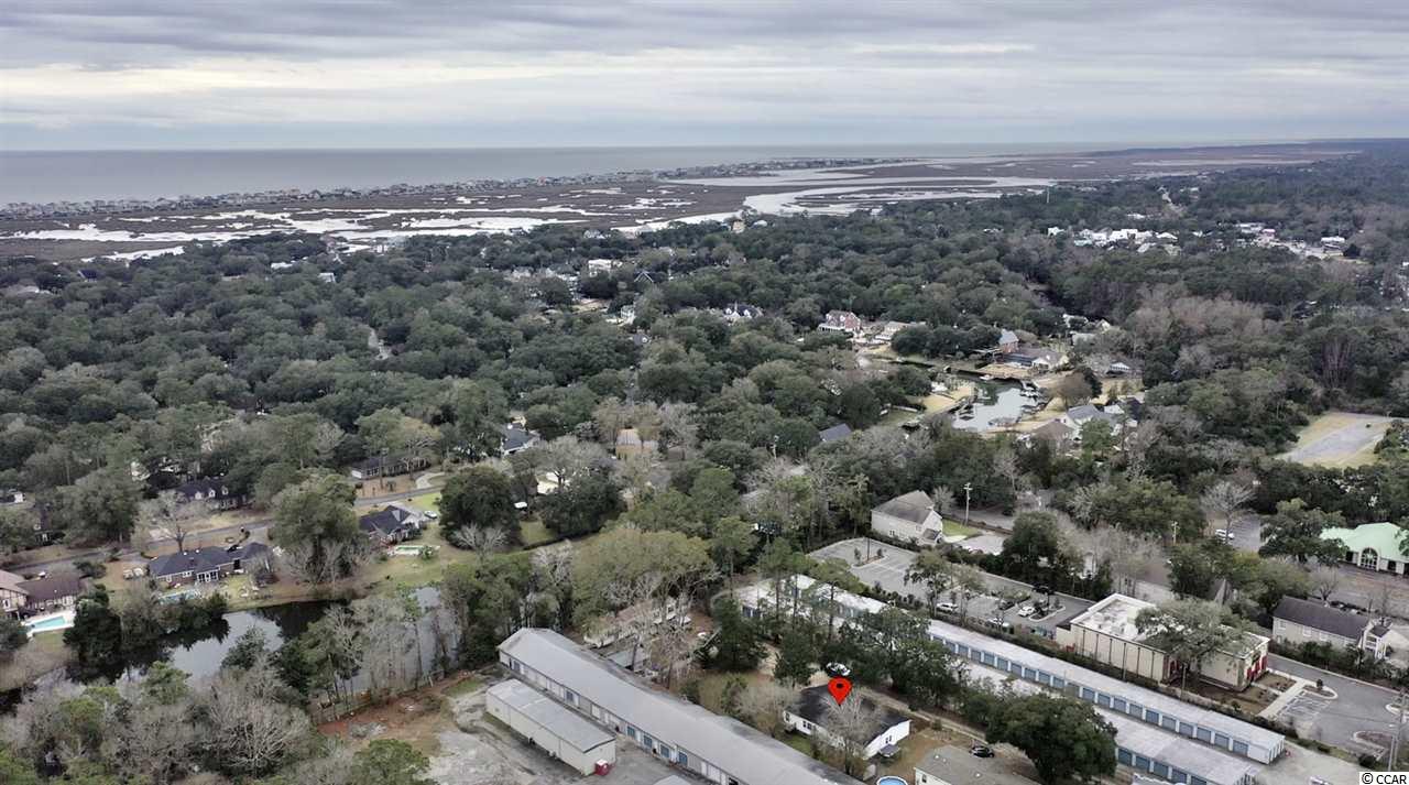 592 Trizzie Trail Murrells Inlet, SC 29576 - Photo 34 of 38