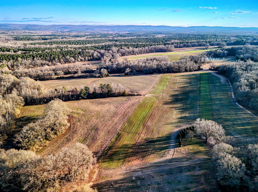 229 Trammel Road Pine Mountain, GA 31822 - Photo 84 of 86 Gallery Image 84