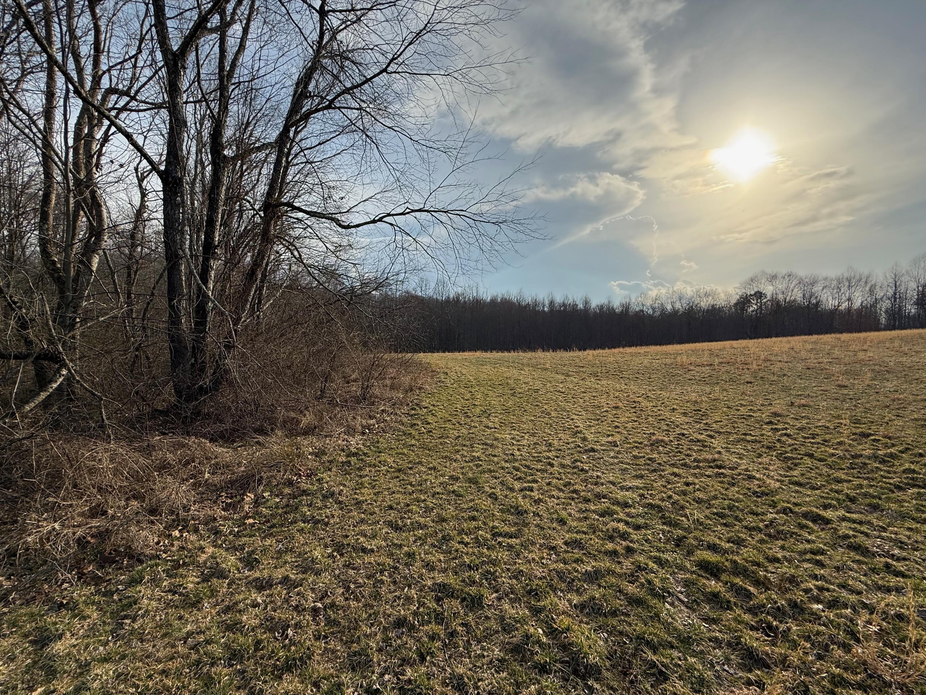 0 Westerfield Road London, KY 40744 - Photo 5 of 23 IMG_0043