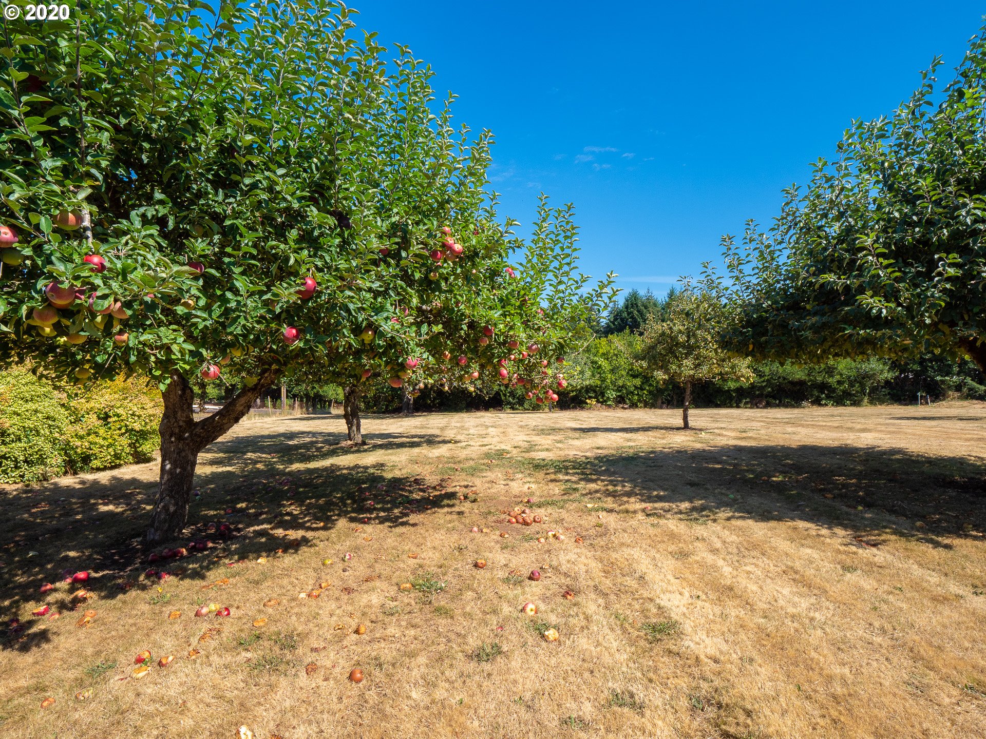 23885 Southwest Newland Road Wilsonville, OR 97070 - Photo 30 of 32 Gallery Image 30