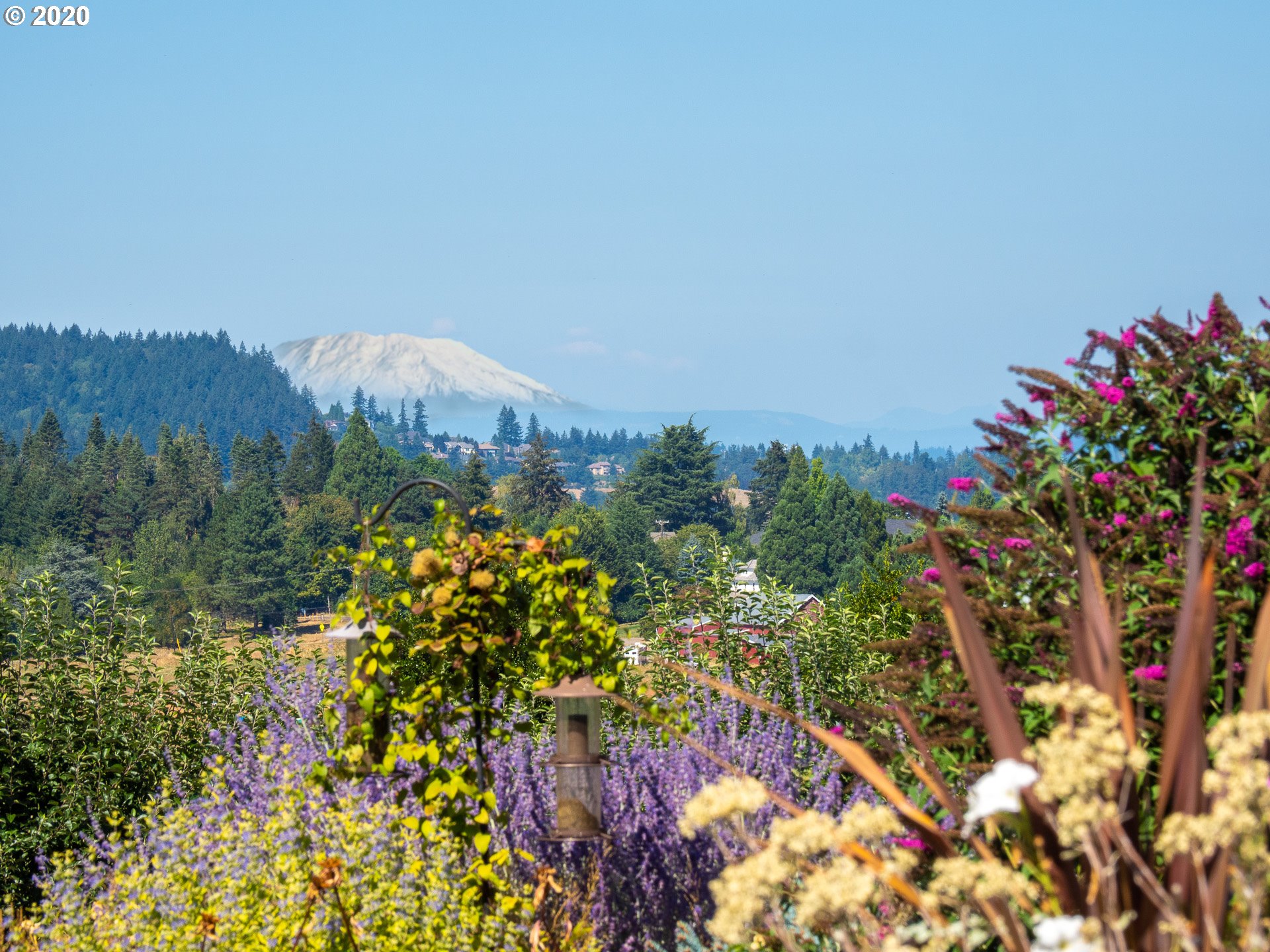 23885 Southwest Newland Road Wilsonville, OR 97070 - Photo 5 of 32 Gallery Image 5