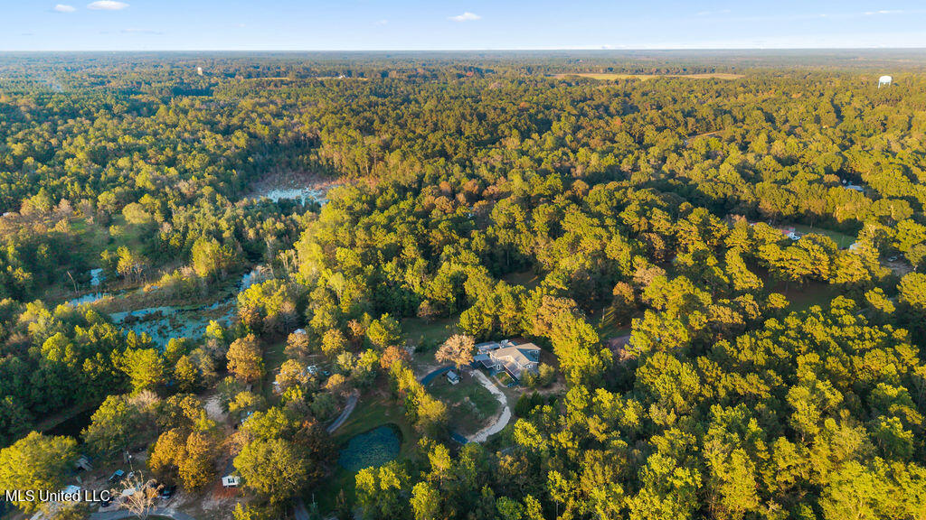 634 Beach Road Poplarville, MS 39470 - Photo 51 of 55 DJI_20251028173910_0056_D