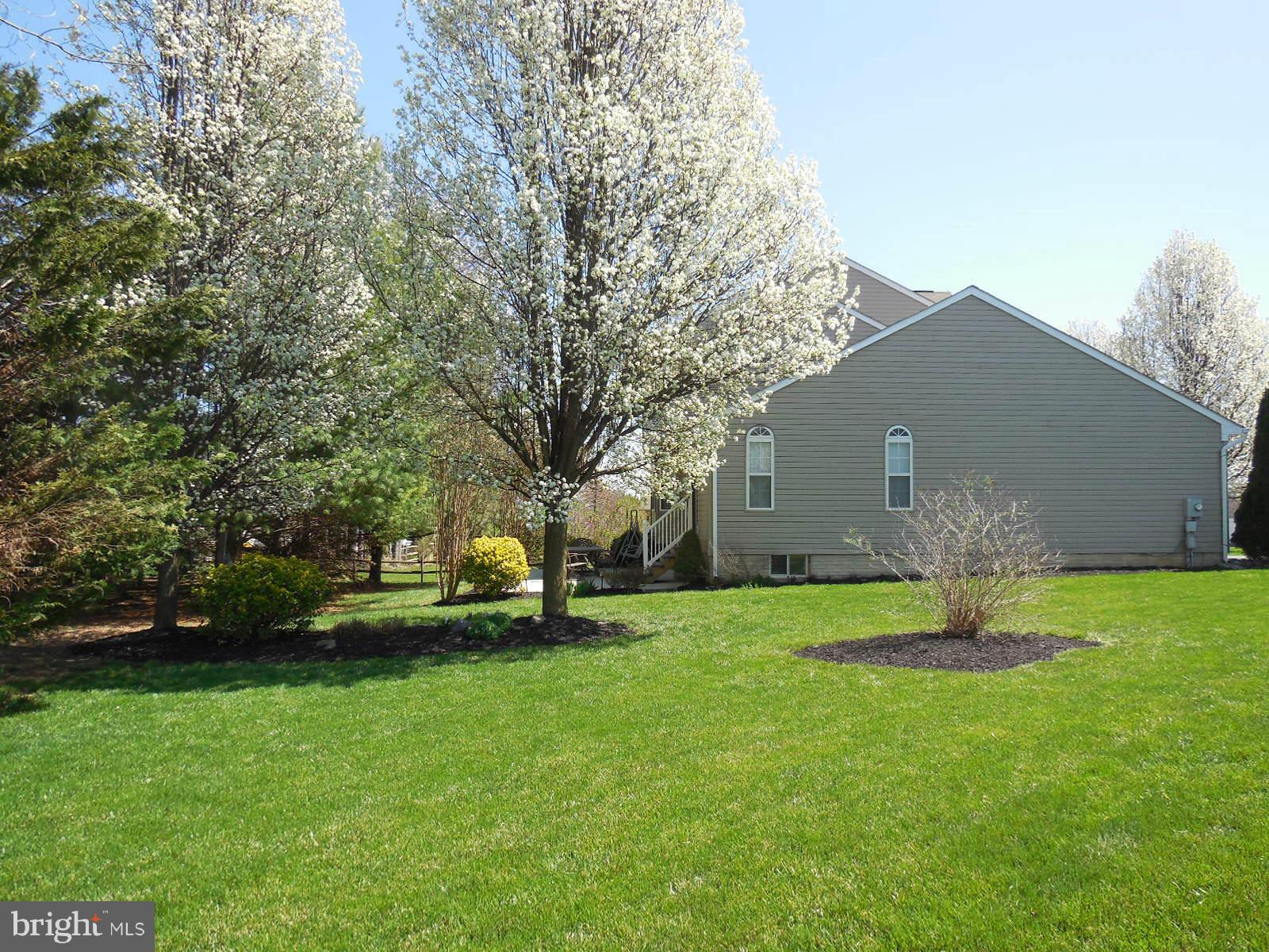 1950 Timber Grove Road Frederick, MD 21702 - Photo 8 of 30 Flowering trees on this amazing lot
