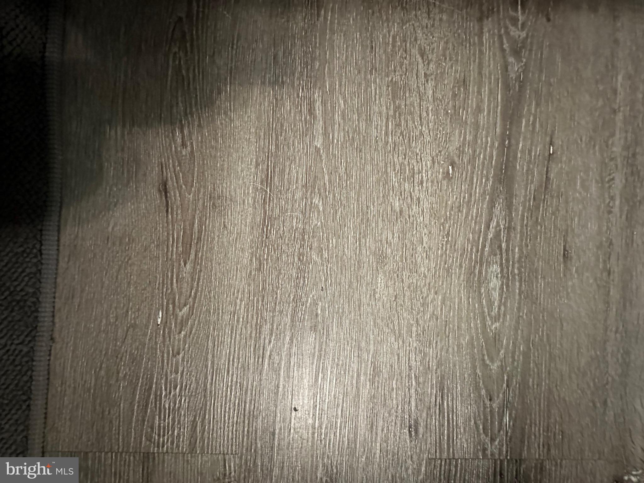 2902 State Hill Road, Unit E1 Reading, PA 19610 - Photo 29 of 39 Flooring photo